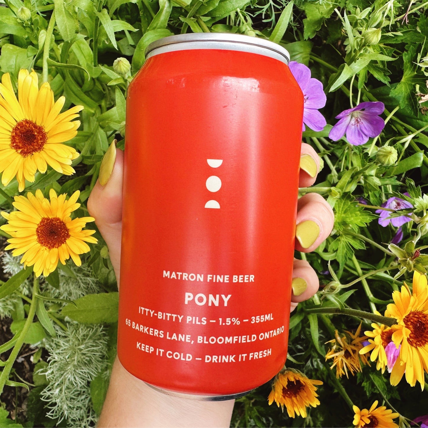 PONY ITTY-BITTY-PILSNER, 355mL