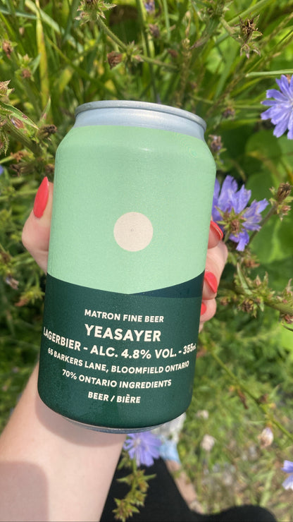 YEASAYER LAGERBIER, 355mL